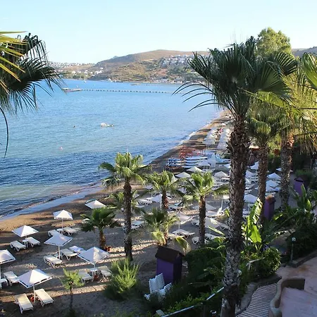 Hotel Lighthouse 4*
