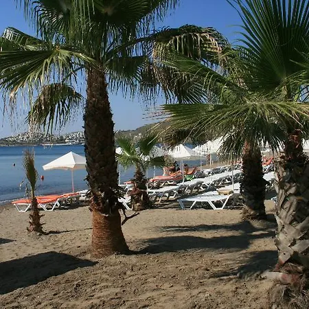 Hotel Lighthouse 4*